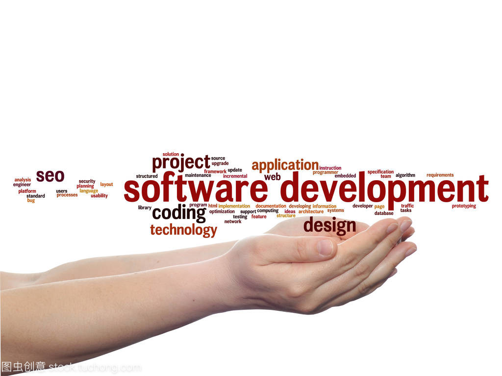 軟件開發項目中的計算機系統集成服務